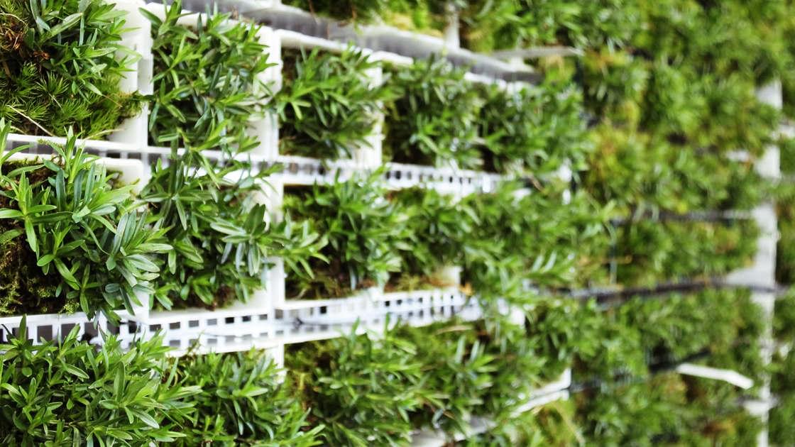CityTree – This plant wall cleans as much polluted air as 275 trees