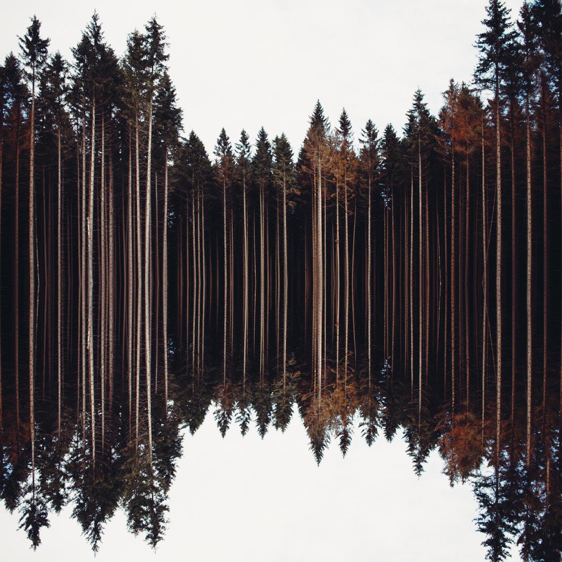 © MARC LEPPIN