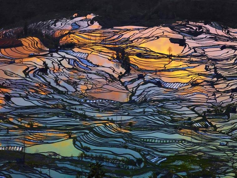 Thierry Bornier