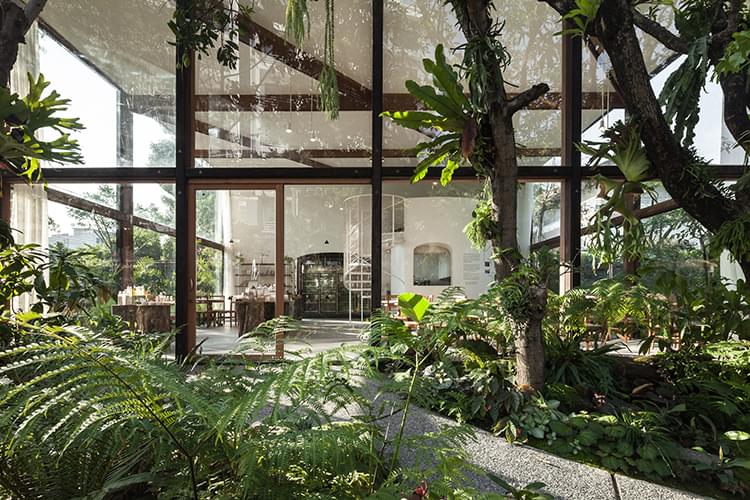 Patom Organic Living, Bangkok, Thailand