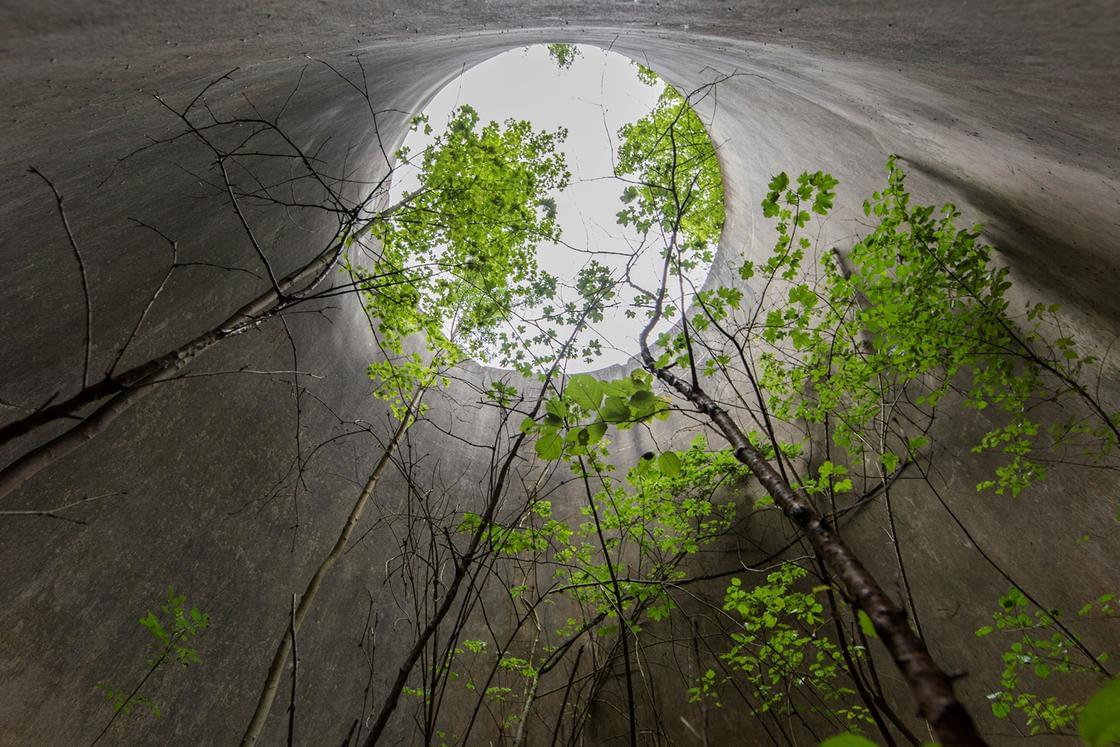 Naturalia – When nature reclaims its rights in abandoned places