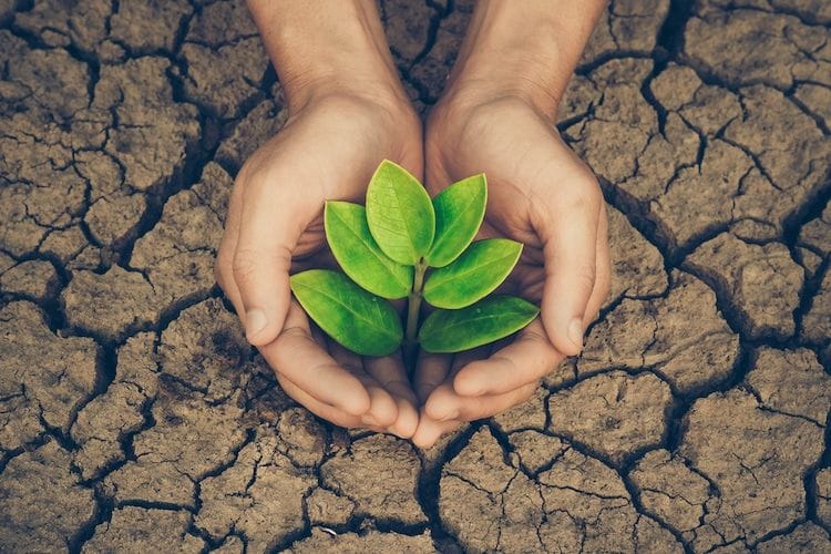 20 Easy Ways to Help Save the Environment Every Day