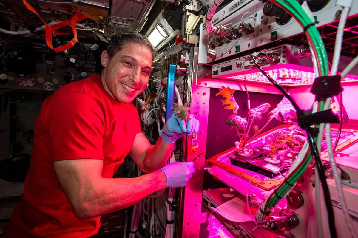 Growing Microgreens In Space – How NASA Is Feeding Astronauts Using VegBed Grow Mats