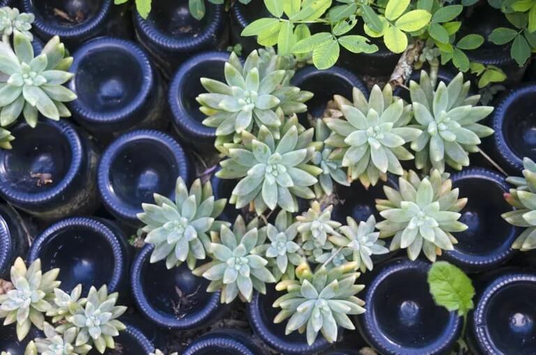 How to Reuse Glass Bottles in the Garden
