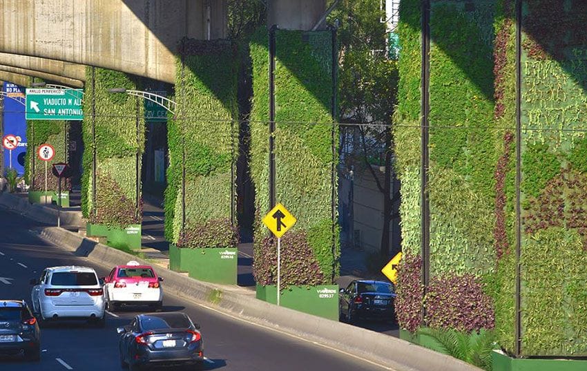 Mexico City's Garden-Lined Highway Is Thriving, but Not Without Criticism