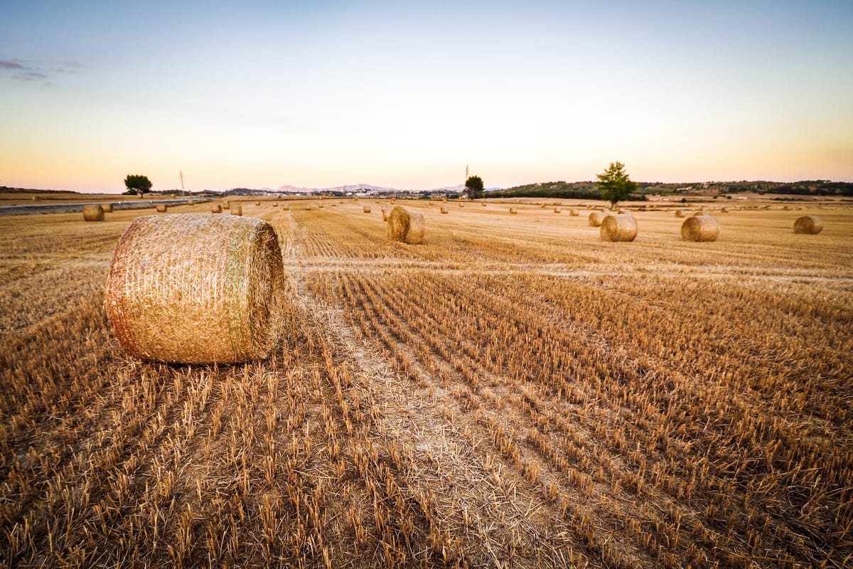 Fast Facts About Agriculture & Food In USA