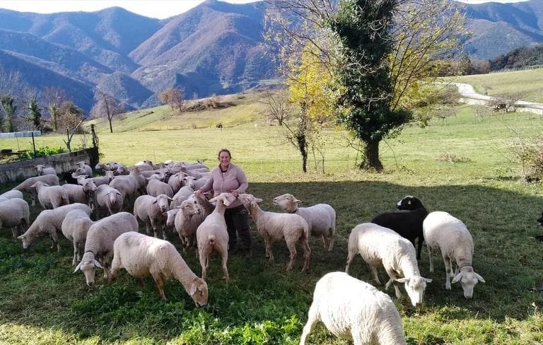 Spain Starts a School for Shepherdesses