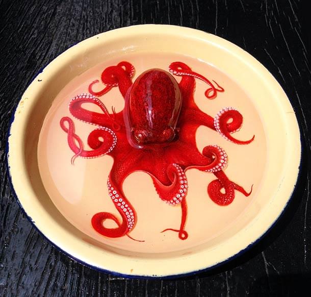 The amazing lifelike animals by Keng Lye