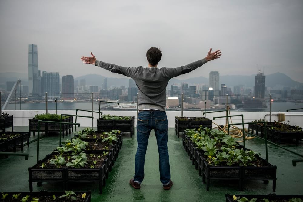 Rooftop Republic, a social enterprise whose aim is to advance urban farming around Hong Kong