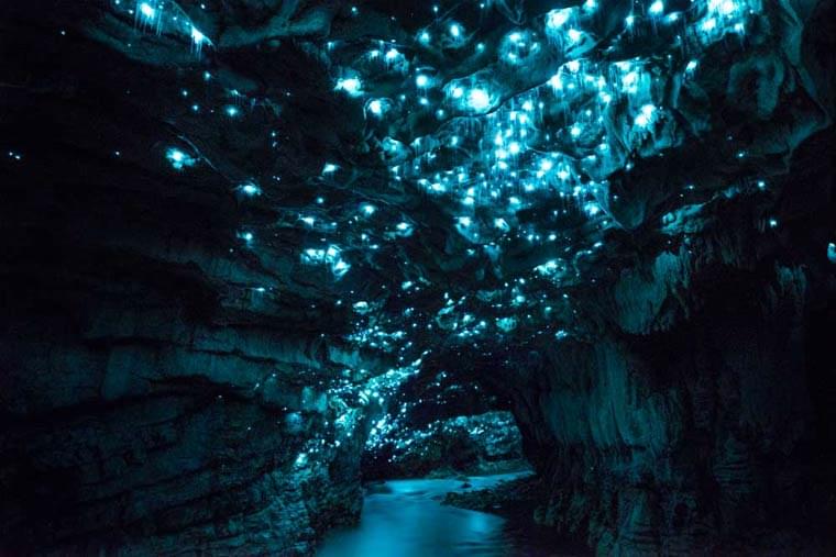 Luminosity – A photographer captures a cave lit by bioluminescent worms