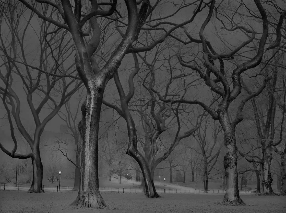 Alone in Central Park – An Insomniac photographer captures New York