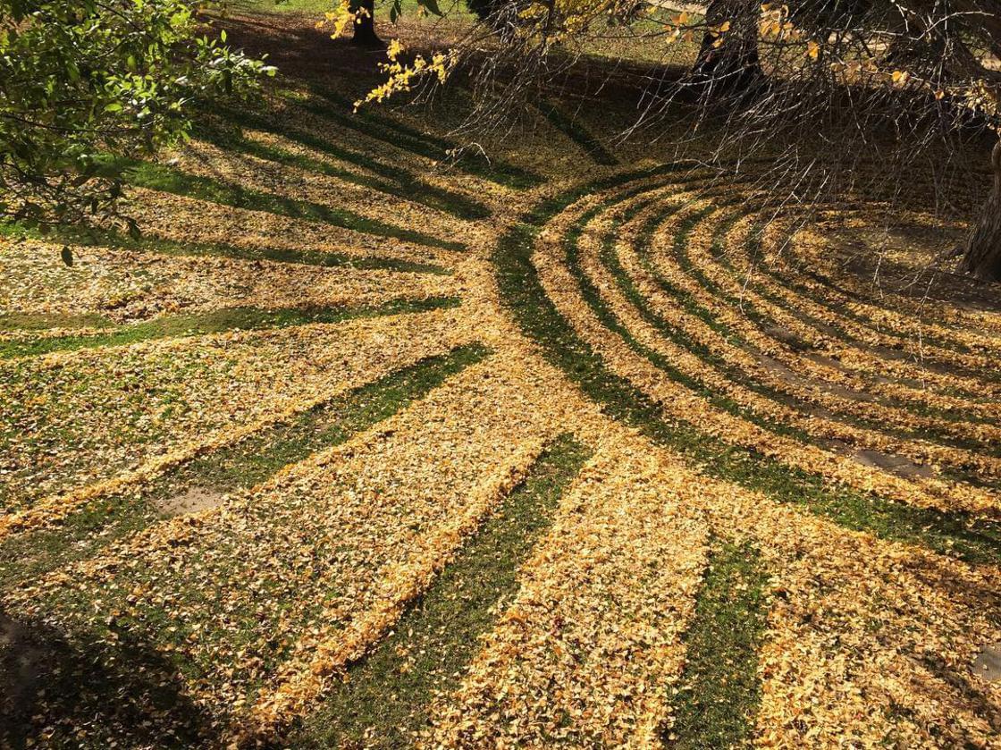 She transforms dead leaves into beautiful Land Art creations