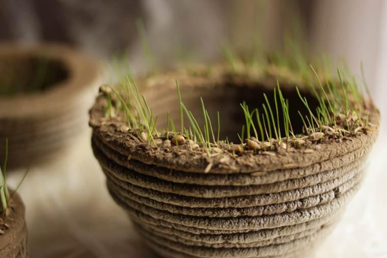 Print GREEN – A 3D printer designed to draw and shape miniature gardens