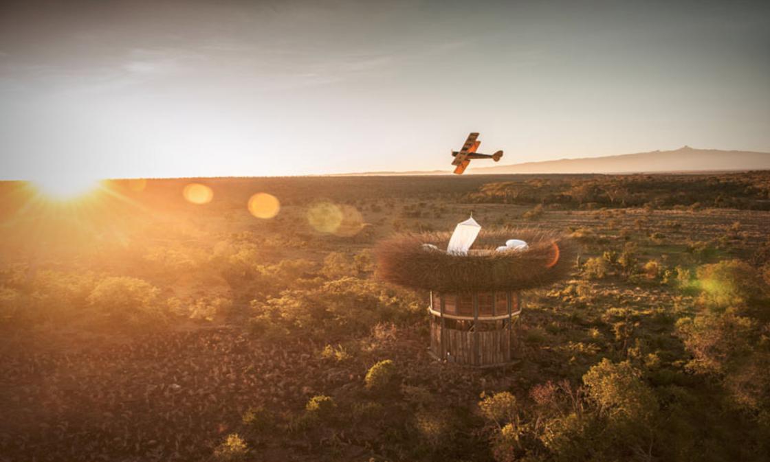 Sleeping in a cozy bird nest in the heart of African nature