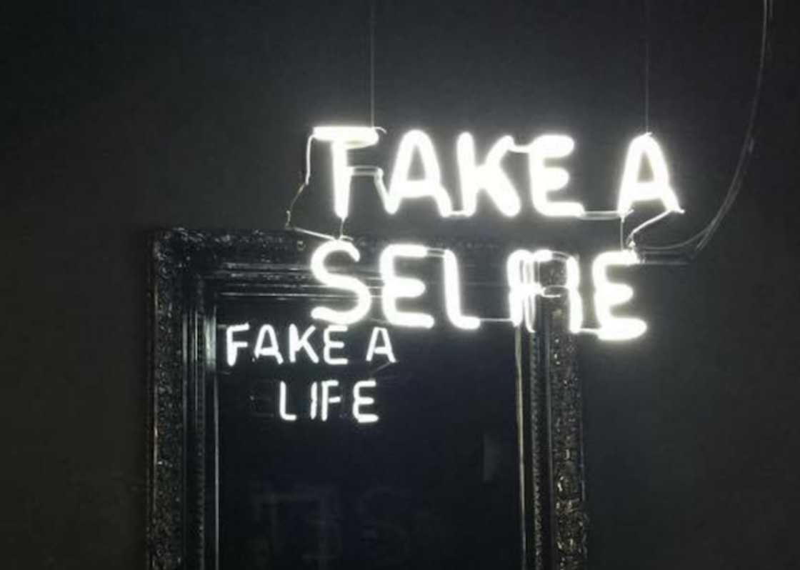 Fake a Life – Clever satirical mirrors with hidden messages