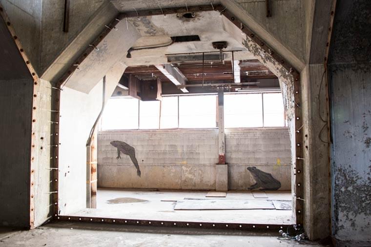 Moran Plant – When nature takes its course in an abandoned factory