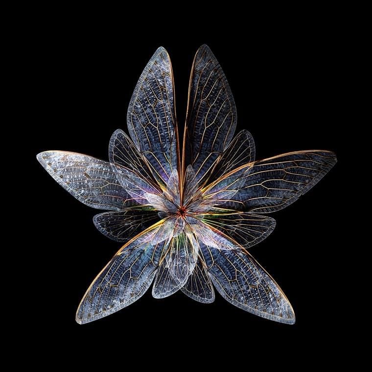 Mimesis – When colorful butterfly wings are turned into beautiful flowers