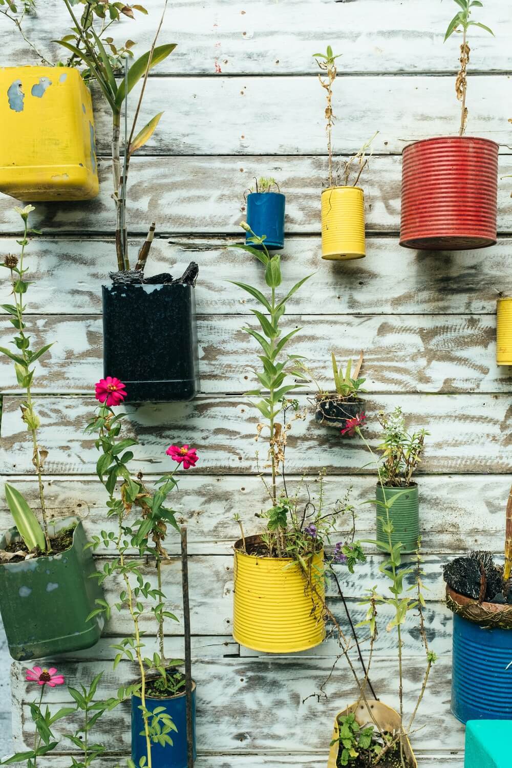 Embracing the Go-Green Lifestyle: Interesting Facts