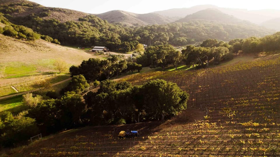 Can Regenerative Farming Save Our Food?