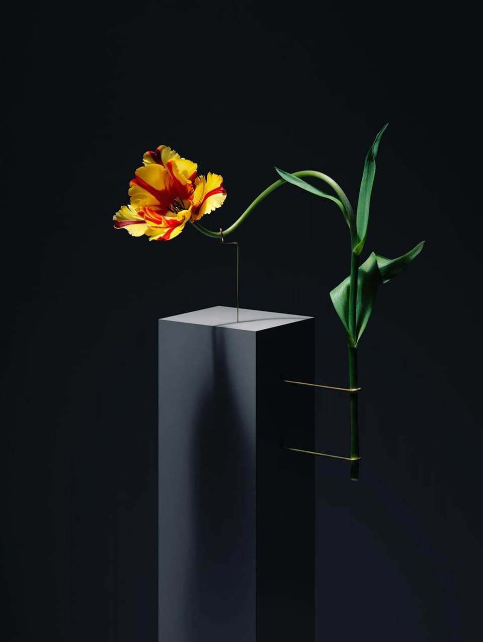 Postures by Carl Kleiner