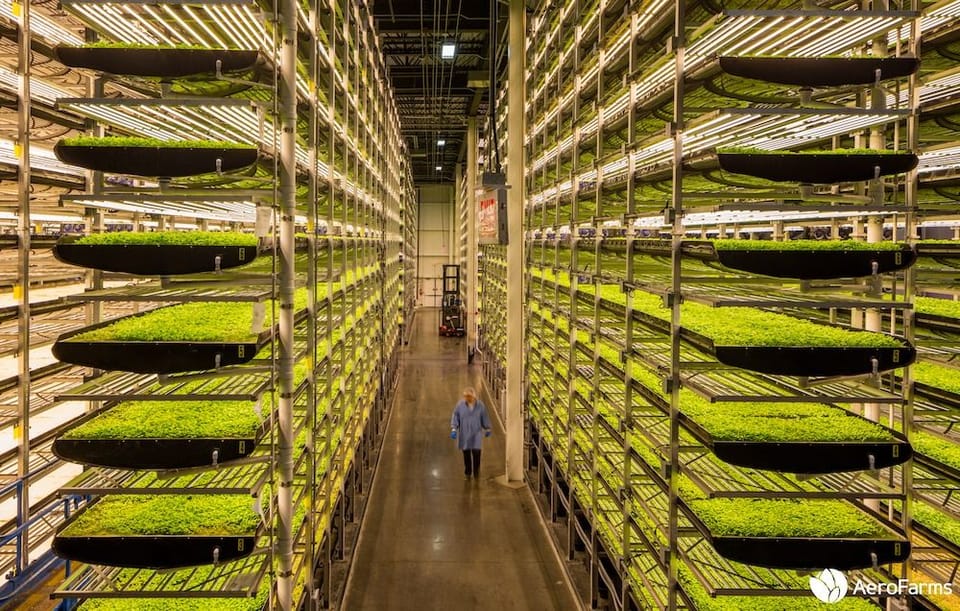 Feeding the Future of Agriculture with Vertical Farming
