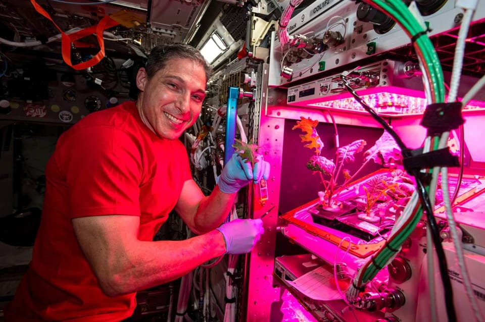 Growing Microgreens In Space – How NASA Is Feeding Astronauts Using VegBed Grow Mats