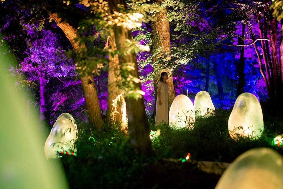 Immersive Installation Takes Over a Japanese Botanical Garden Turning It Into a Surreal Dreamscape