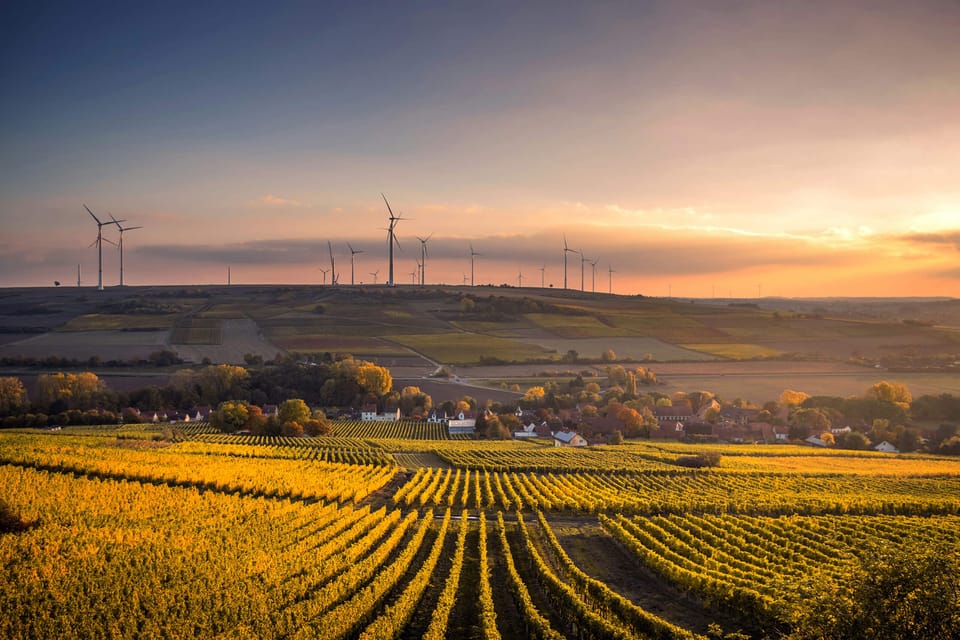 Sustainable Living: Simple Changes for a Greener Lifestyle