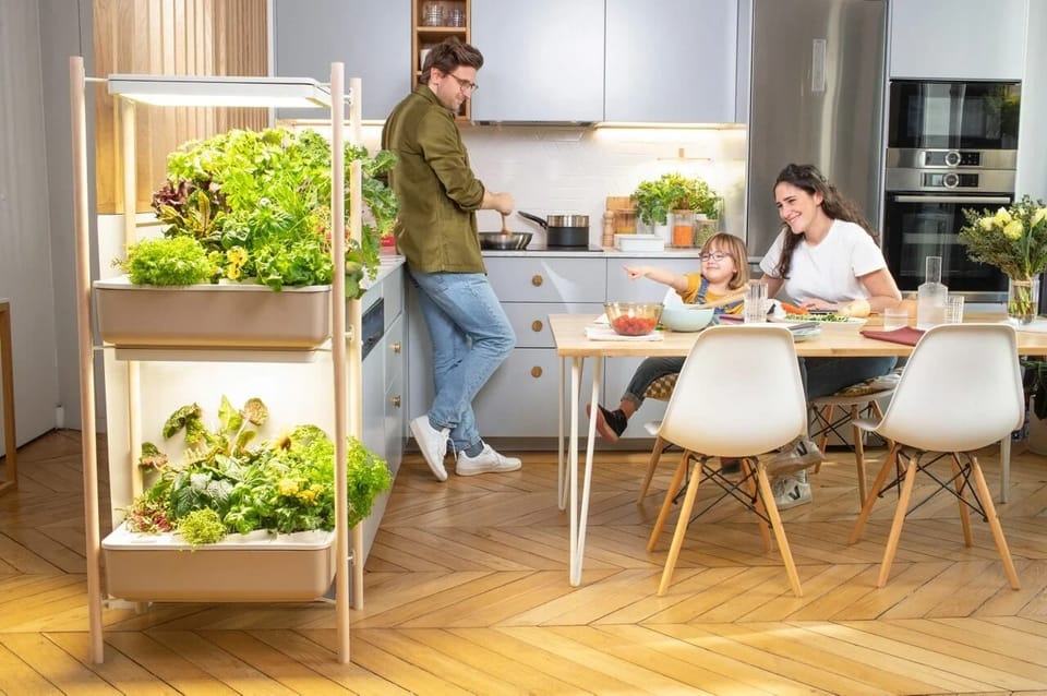MULTO - The Self-sustaining Kitchen Garden You’ve Always Wanted