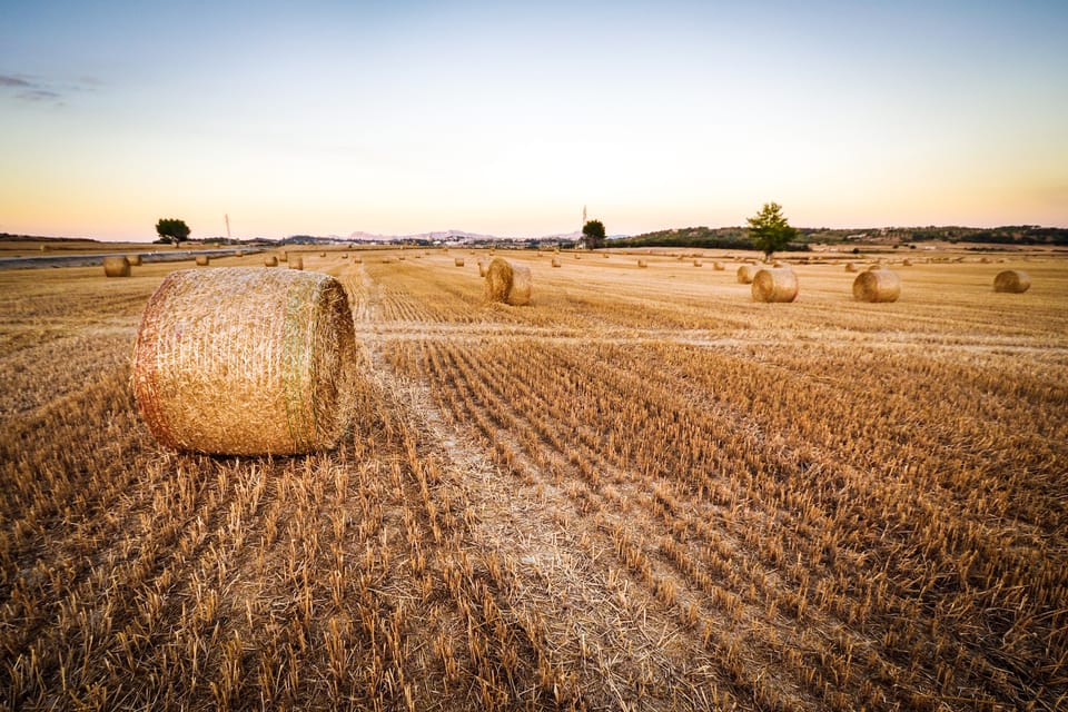 Fast Facts About Agriculture & Food In USA