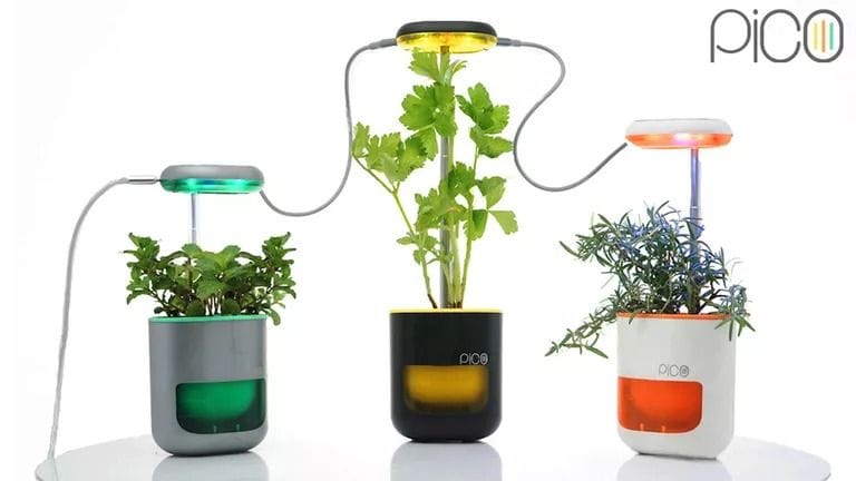 Pico Is a Tiny Garden That Fits in the Palm of Your Hand