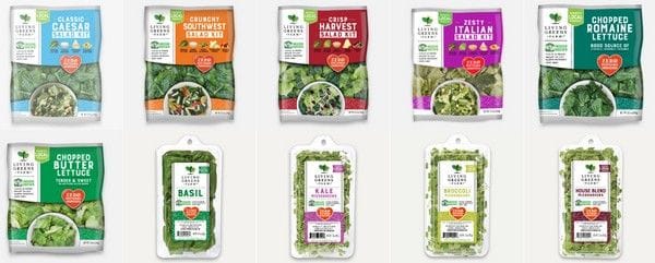 Ready-to-eat bag salads expected to grow another 10% in the US creating opportunities