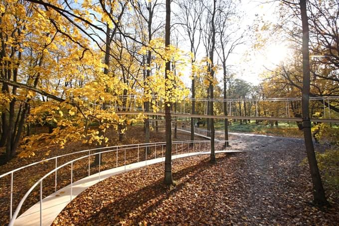 A Path in the Forest by Tetsuo Kondo