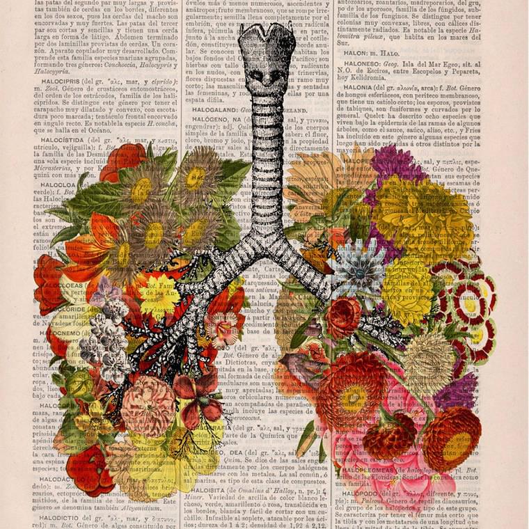 Floral Anatomy – Beautiful poetic illustrations on old book pages