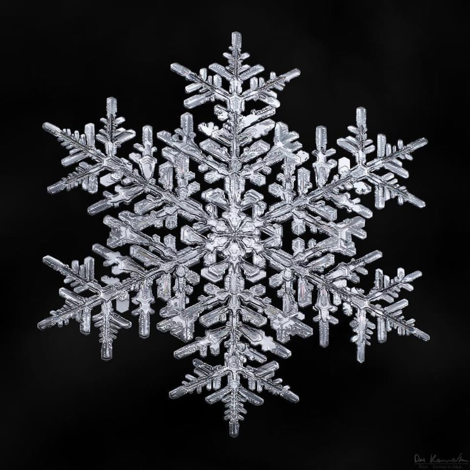 Sky Crystals – The fascinating beauty of snowflakes