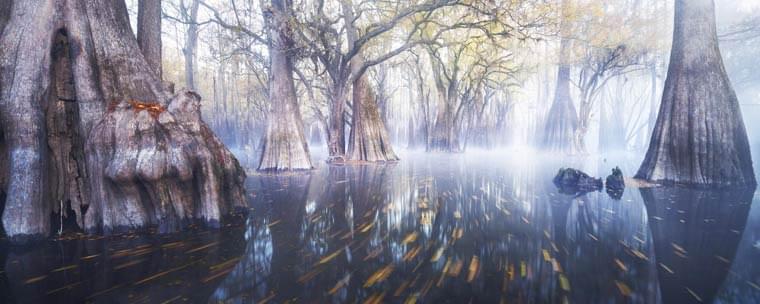 The winning photographs of the International Landscape Photographer of the Year 2015