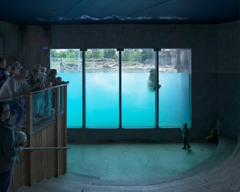 White Bear – Documenting the sad life of polar bears in captivity
