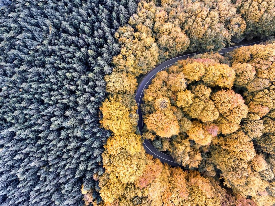 Roads of Transylvania – The amazing aerial photographs of Calin Stan
