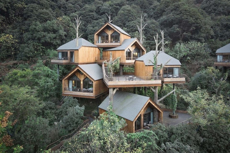 Architects Design Whimsical “Tree House” Resort in Hangzhou, China