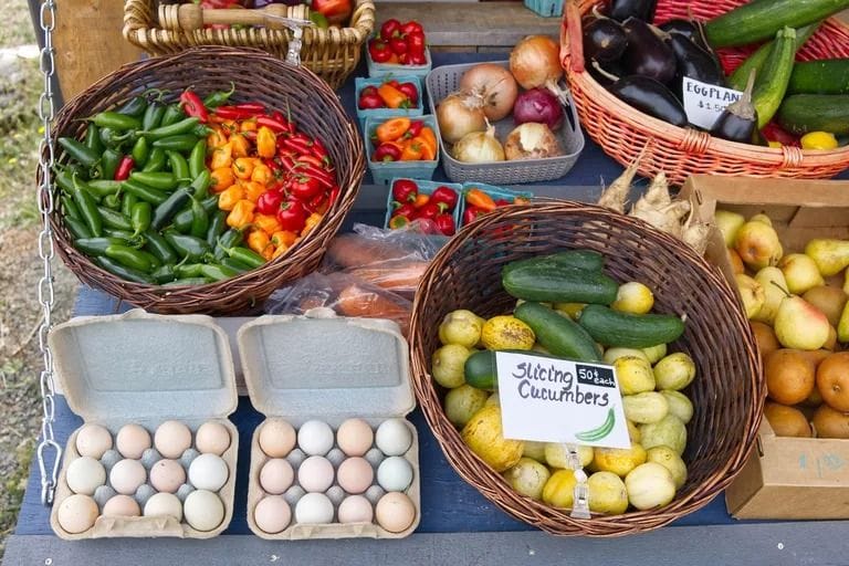 What Does Organic Really Mean?