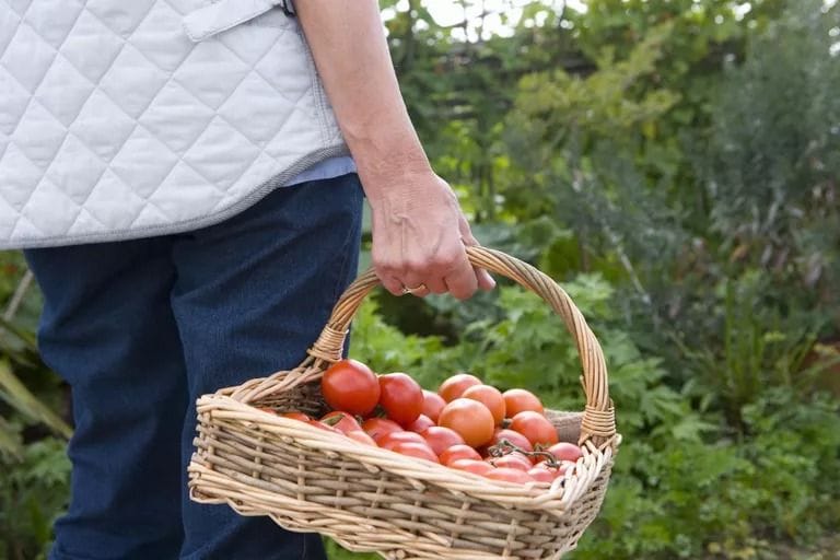 What Is a Hobby Farm?