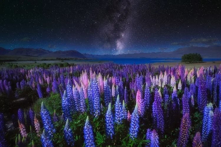 What to See in the Night Sky for May 2023